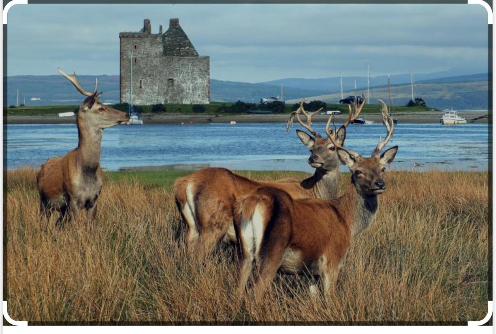 Sanda View, Isle Of Arran Sliddery Екстериор снимка